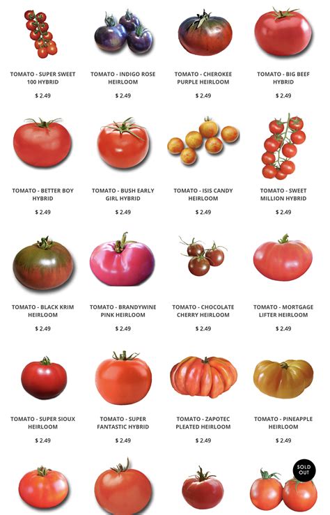 Sandiaseed.com Heirloom tomato seeds: https://www.sandiaseed.com ...