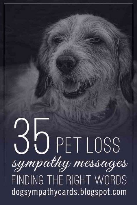 Pet Sympathy Quotes, Sympathy Verses, Sympathy Card Sayings, Words Of ...