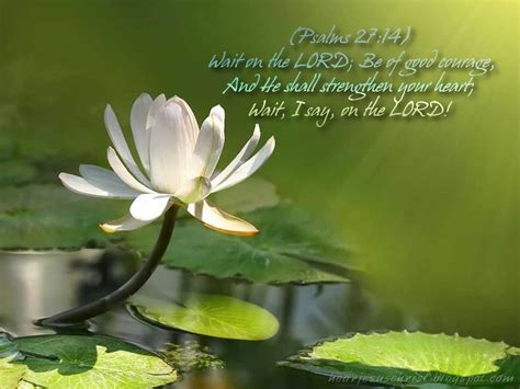 Psalms Wallpaper Bible Verse - WallpaperSafari