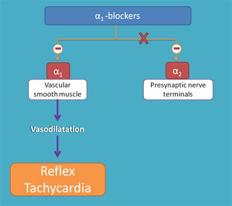 Selective alpha blockers