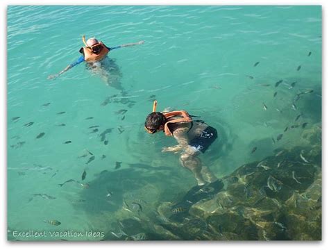 Snorkeling at Princess Cays Bahamas | Princess cays bahamas, Bahamas ...