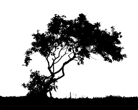 Free Black Tree, Download Free Black Tree png images, Free ClipArts on ...