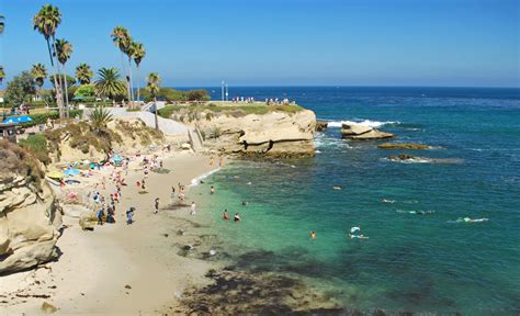 Snorkeling In La Jolla Cove, San Diego - What's It Like?