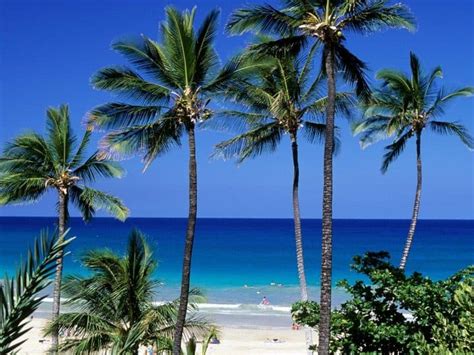 The 15 Best Big Island Beaches in Hawaii