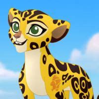 Fuli is an adolescent female cheetah. She is the former fastest member ...