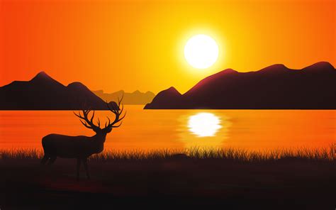 Download Sunset Deer Silhouette 4k Wallpapers - Nature Landscape ...