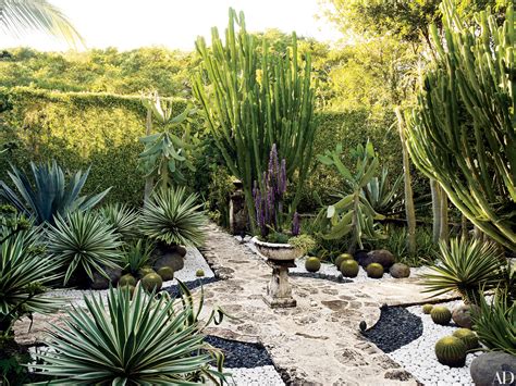 These Homes Feature the Best Plants for a Desert Landscape Photos ...