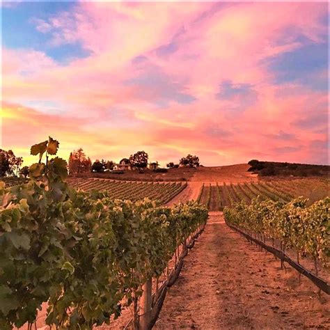 10 Best San Diego Wineries You MUST Try If You Love Wine