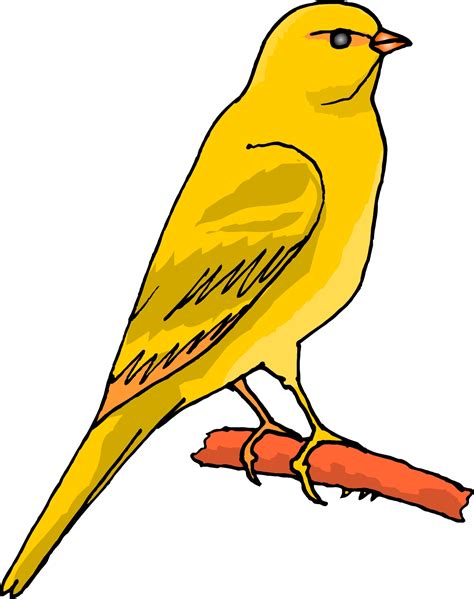 Bird Cartoon Clipart at GetDrawings | Free download