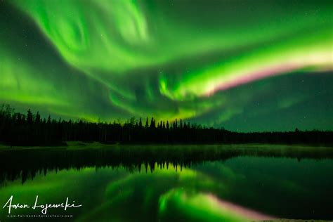 tours - Fairbanks Aurora Tours - Northern Lights Tours in Alaska