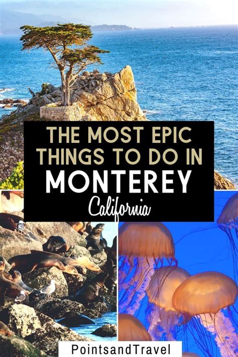 10 of the BEST Things to Do in Monterey CA