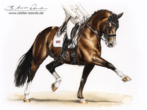 Dressage Horse Drawing at GetDrawings | Free download