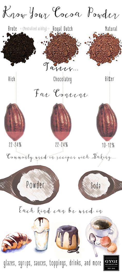 Different Types of Cocoa Powder | Cocoa powder, Cocoa, Skillet bread