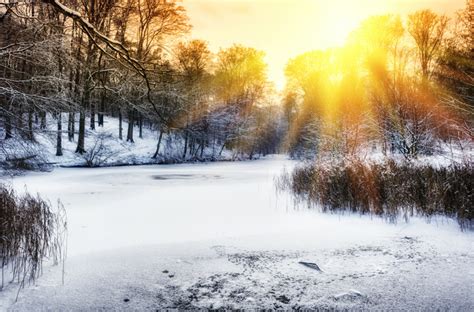 Frozen Ponds | Royal Meteorological Society