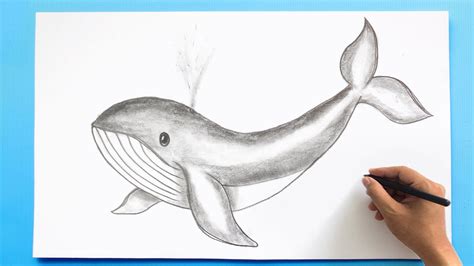 Dibujo de ballena echando chorros