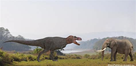 700 Post Special: Tyrannosaurus Rex Vs. African Elephant - Dinosaurs Forum