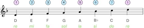 D Minor Scale: A Piano Practice Guide | tonebase Piano