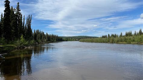 Column: Visiting the Chena River near Fairbanks, Alaska • Current ...