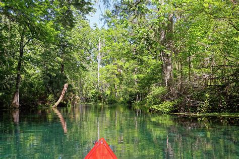 Silver Springs Kayaking Photograph by Sally Weigand - Fine Art America