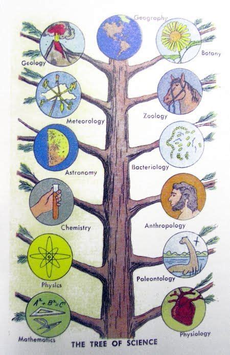 Different Branches of science: List, meanings | It Lesson Education