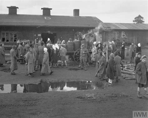 The liberation of Belsen | National Army Museum