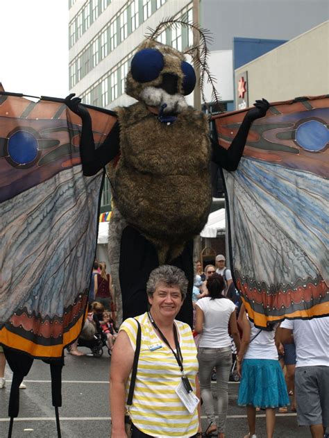 Bogong Moths: An Australian icon | Reflections and Nightmares- Irene A ...