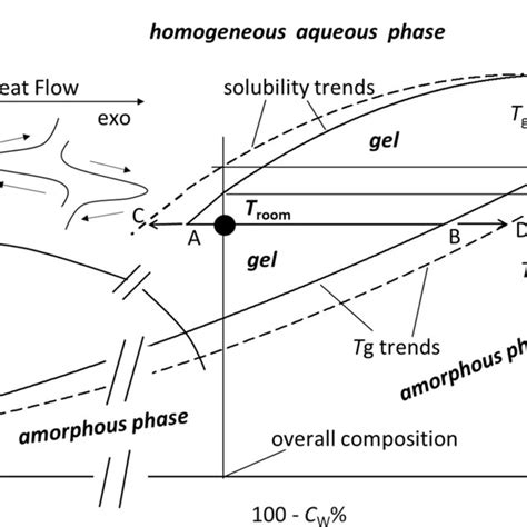 Dynamic phase diagram of a hydrogel forming system. The formation of ...