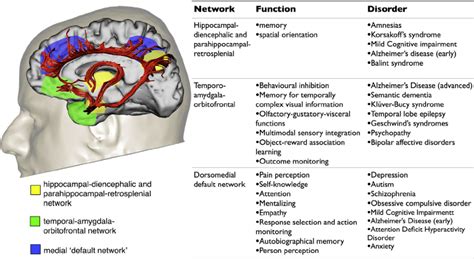 Limbic System Functions