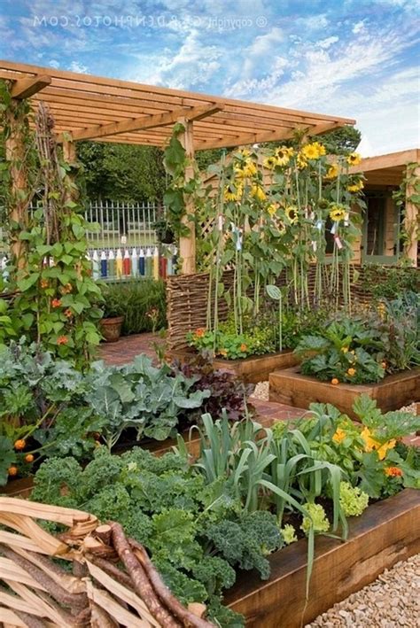 Home Gardening Ideas Images The Best Home Gardening Ideas For 2018 In ...