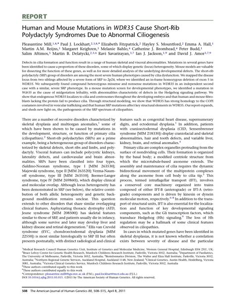 (PDF) Human and Mouse Mutations in WDR35 Cause Short-Rib Polydactyly ...