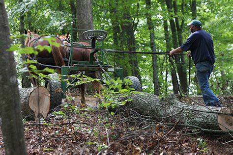 Rural Heritage — Horse Loggers Landing Page