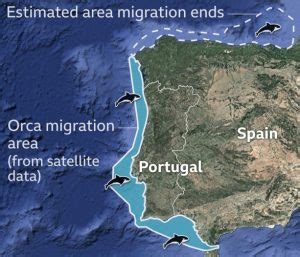 Noonsite | Orca-Plan of migration route