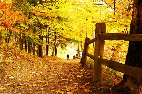 The place to Discover the Greatest Finger Lakes Fall Foliage - GO Tour