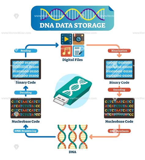 DNA data storage vector illustration scheme Computer Learning, Computer ...