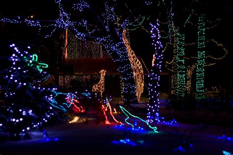 The Calgary Zoolights – 2009 | Christopher Martin Photography