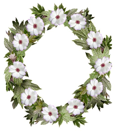 Flower arch png, Flower arch png Transparent FREE for download on ...