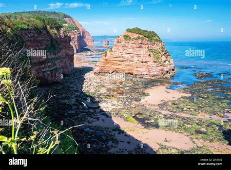 Ladram Bay in Dorset, United Kingdom, Jurassic Coast Stock Photo - Alamy