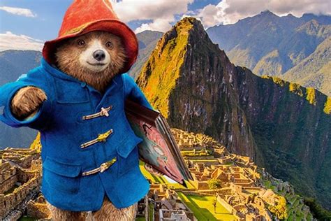 Picture of Paddington in Peru