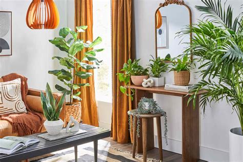 3 Easy Steps to Transform Your Living Room with Plant Decor