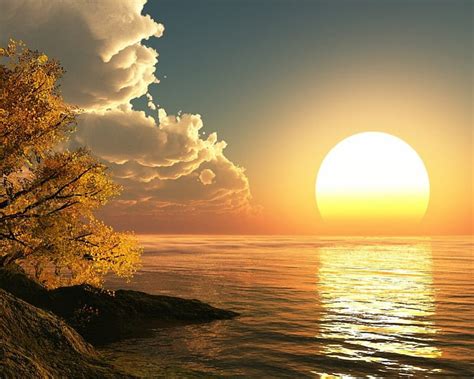 Beautiful Sunrise, tree, bonito, sunrise, sea, HD wallpaper | Peakpx