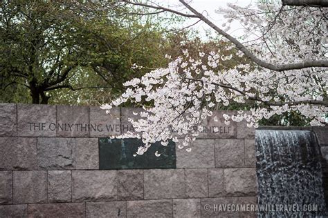 Cherry Blossoms at the FDR Memorial | Have Camera Will Travel - Photography