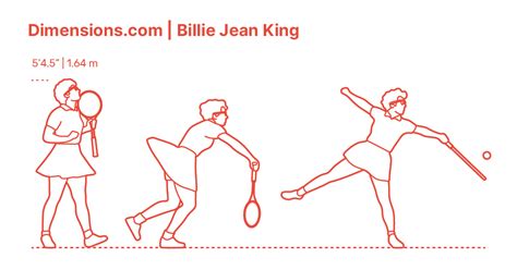 Tennis Ball Dimensions & Drawings | Dimensions.com