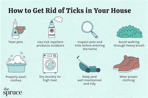 Recommendation Tips About How To Get Rid Of Ticks On Humans - Postmary11