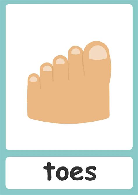 Body parts flashcards – Artofit