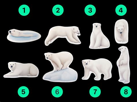 Polar Bear Stickers Cute Animal Sticker Pack 8 Pcs Polar | Etsy