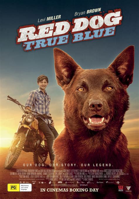 Red Dog: True Blue (2016) Bluray FullHD - WatchSoMuch