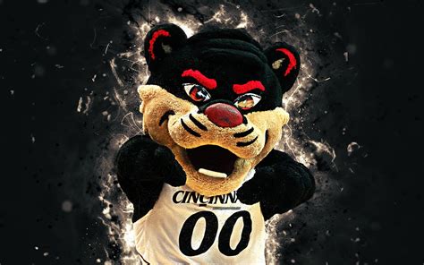 Bearcat 4k mascot Cincinnati Bearcats basketball abstract art creative ...