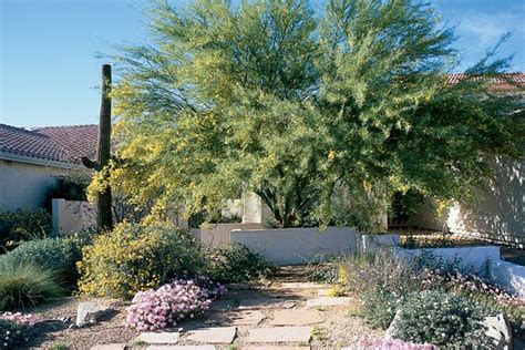 Xeriscape Landscaping with Style in the Arizona Desert photos of ...