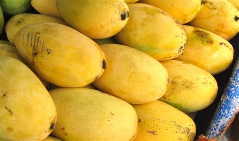 the best mangoes in the world