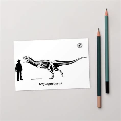 Majungasaurus Skeleton Madagascar Postcard – Fossil Crates